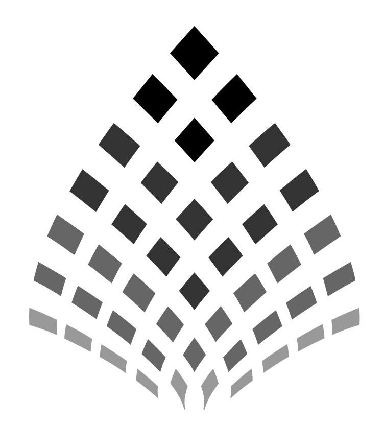 Horizon Star